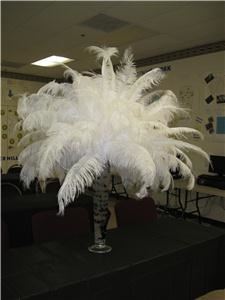 A Beautiful Occasion