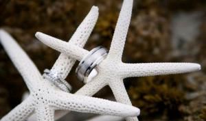 Anfinson Photography