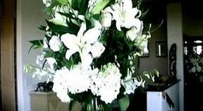 Todd Elliot Entertainment & Event/Wedding Planning - Videographer