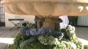 Todd Elliot Entertainment & Event/Wedding Planning - Videographer