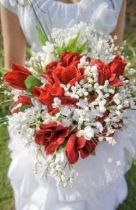 Hey! Mr. DJ! Entertainment Services,LLC