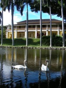 Bonnet House Museum & Gardens