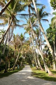Bonnet House Museum & Gardens