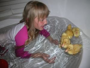 Critter Visits of Woolley Wonderland Farm