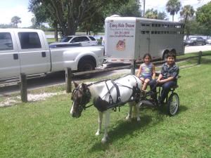 Every Kids Dream Pony Party and Petting Zoo