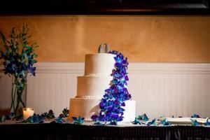 Bill Barbosa Photography