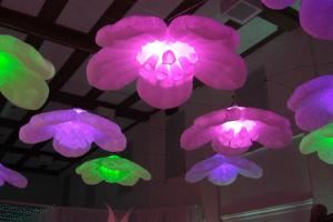 Air Dimensional Design Inc