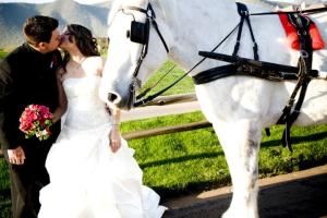 Phoenix Wedding Minister Reverend Amy Miller