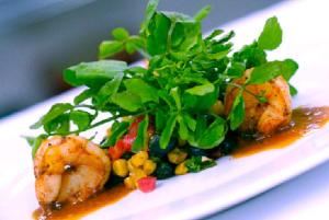 Design Cuisine Catering