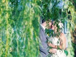 Shannon Zastoupil Photography - Janesville