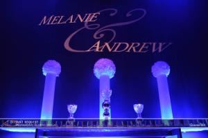 Instant Request DJ Entertainment