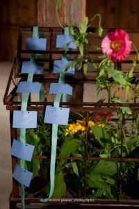 A Family Affair of Maine