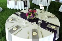 Any Occasion Creation - Planning