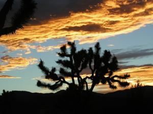 Yucca Valley Community Center
