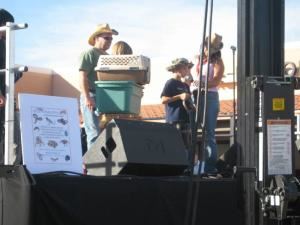 Deb's Dragons Interactive Animal Events