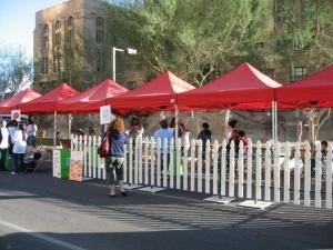 Deb's Dragons Interactive Animal Events