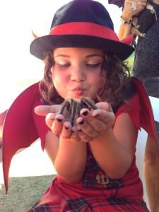 Deb's Dragons Interactive Animal Events