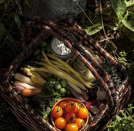 Local Philosophy Catering