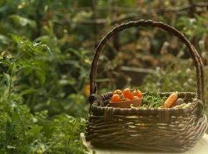 Local Philosophy Catering