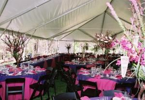 Verve Events & Tents - Flagstaff