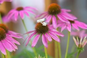 Geneva Simons Photography