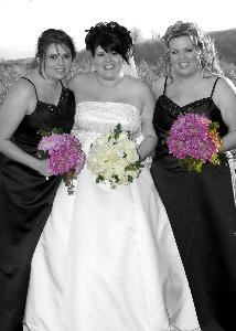 All in the Picture Photography