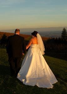 All in the Picture Photography