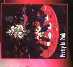 Alaska Destination Specialists