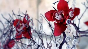 A Treasured Moment By Martha