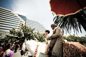 Hackney Horse & Carriage