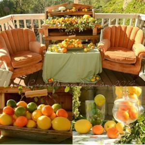 Carmen Navarro Designs