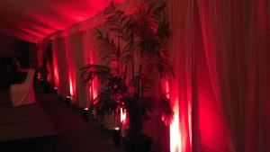 Desert Music Entertainment