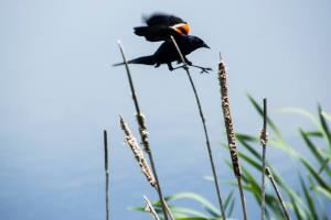 Katherine Knorp Photography