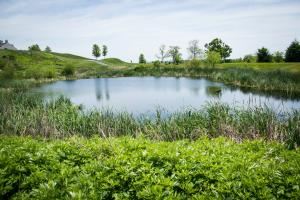 Katherine Knorp Photography