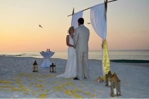Surfside Brides