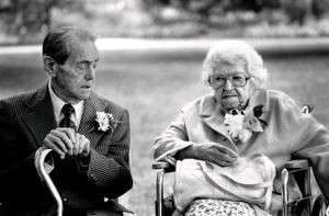 Rebecca D'Angelo Photography