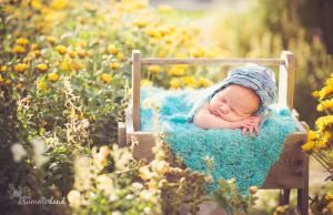 Summerland Photography - Spokane