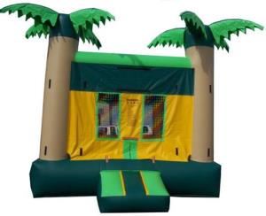 All Family Bouncers Party