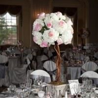 Desirable Events by Desi