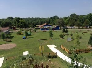 Amazing Farm Fun at Ticonderoga