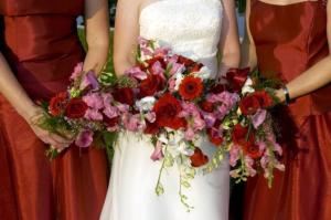 A Wonderful Wedding - Sarasota