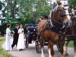 Humes Horse Drawn Carriage Rides