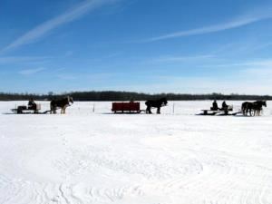 Humes Horse Drawn Carriage Rides