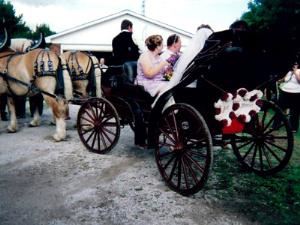 Humes Horse Drawn Carriage Rides