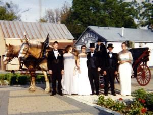 Humes Horse Drawn Carriage Rides