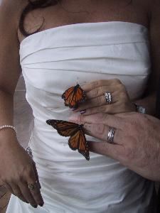 Justice Of The Peace Mary Pugh