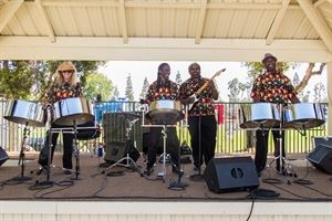 Pan-A-Cea Steel Drum and Calypso Band