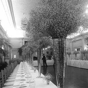 Jacob Maarse Florist