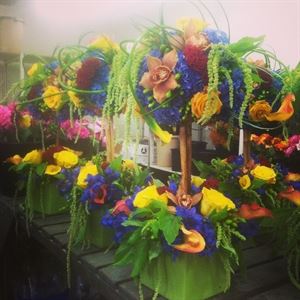 Jacob Maarse Florist