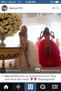 Jacob Maarse Florist